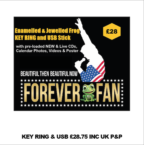 Keyring & USB photo